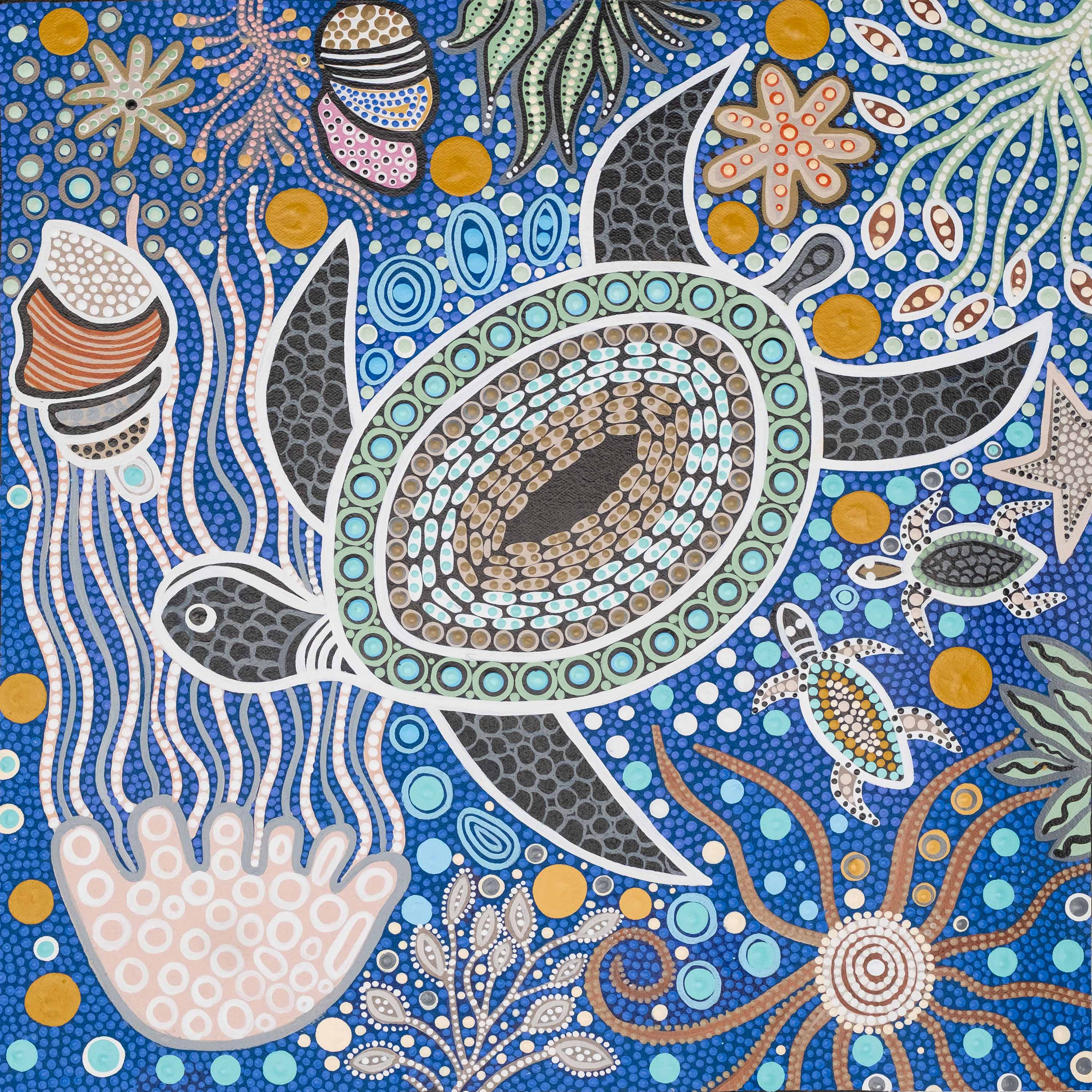 Pam Brandy Hall - Turtle Dreaming