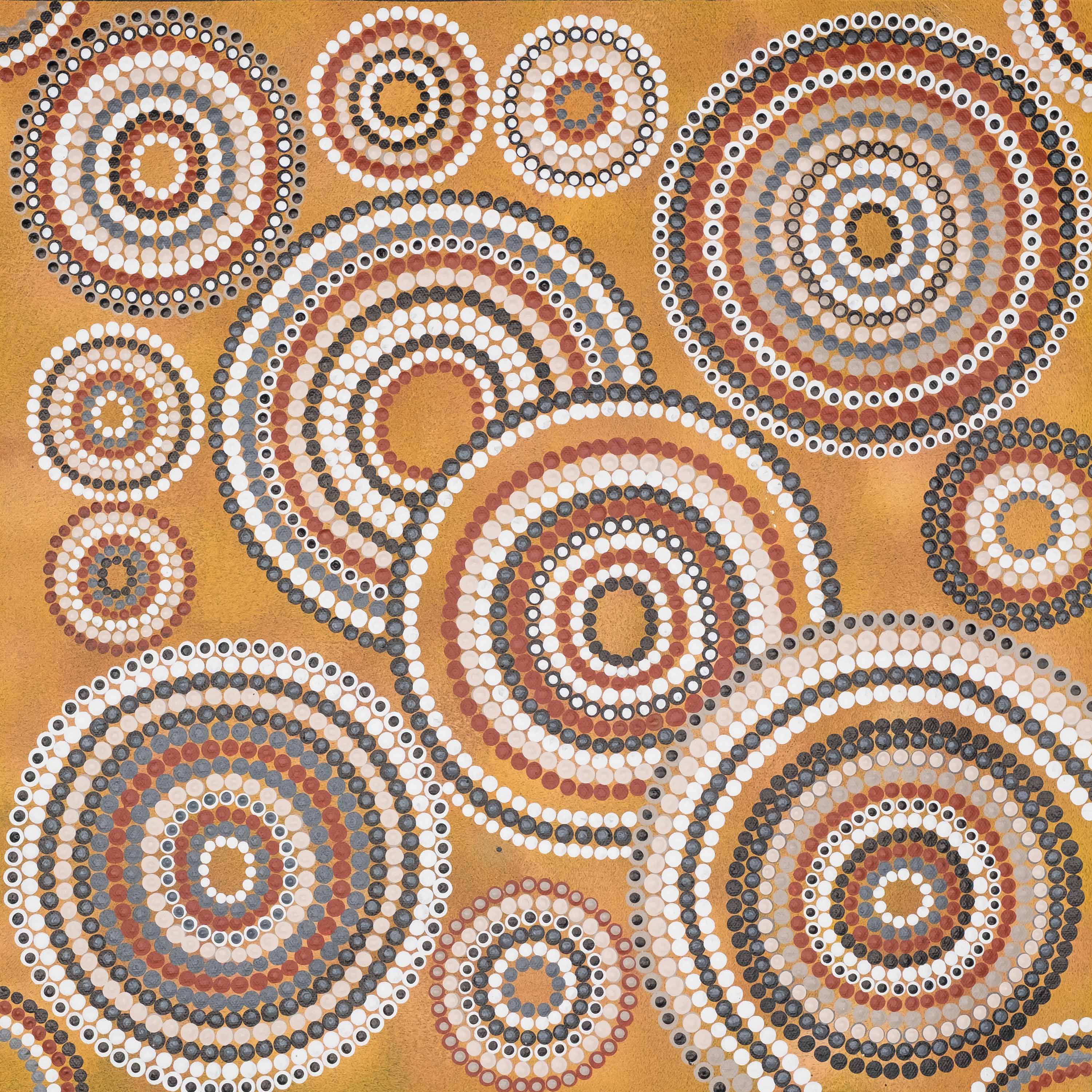 Pam Brandy Hall - Bush Tucker Dreaming